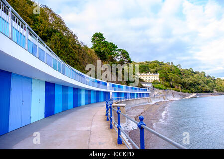 Belle rangée de cabines de plage bleu coloré par la mer à Meadfoot Bay dans la Riviera anglaise ville de Torquay, Devon, Angleterre Banque D'Images