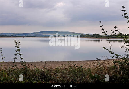 Voir l'ensemble du réservoir d'Arlington dans l'East Sussex UK Banque D'Images