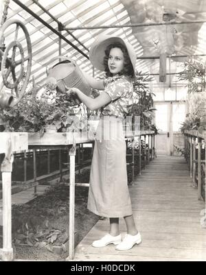 Woman watering plants in hothouse Banque D'Images