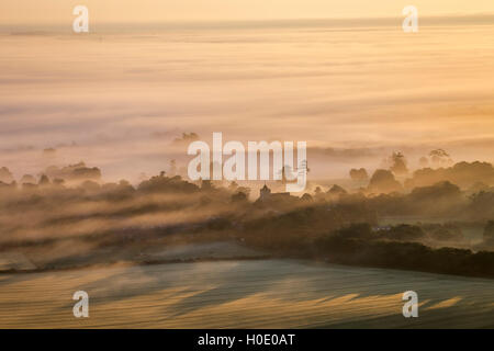 Une belle misty de commencer la journée sur la campagne du Sussex. Firle, Lewes, East Sussex, UK Banque D'Images