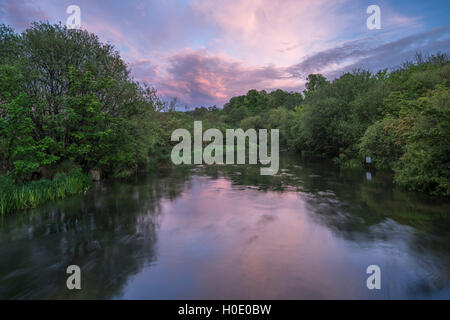 La rivière à l'Itchen Ovington. Le Hampshire. L'Angleterre. UK Banque D'Images