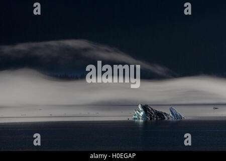 Iceberg et brouillard dans le sud-est de l'Alaska, bras Endicott Banque D'Images