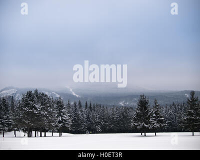 Du côté de South Mountain park Mont-Tremblant Banque D'Images