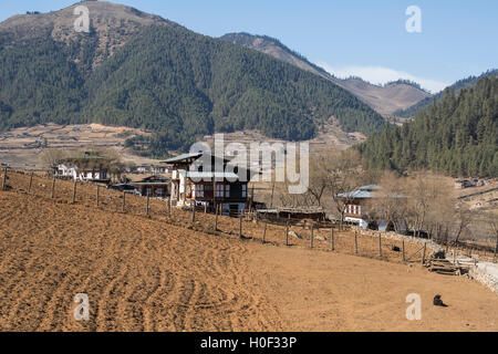 Fermes et fermes dans la vallée de Phobjikha, Wangdue, Western Bhutan Banque D'Images