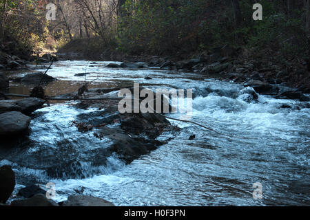 Dans le ruisseau Blackwater Hollins Mill Park, Lynchburg, Virginie Banque D'Images