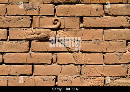 Mushussu, le dragon de Marduk, décrite comme un bas-relief sur la porte d'Ishtar d'origine, l'ancienne Babylone, l'Iraq. Banque D'Images