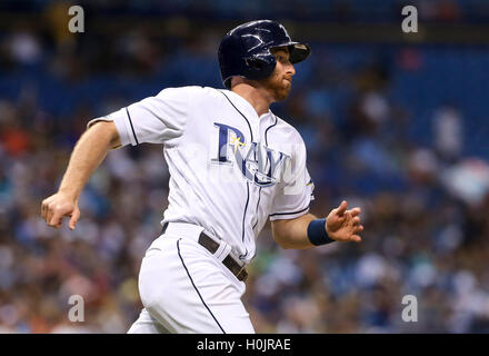 Saint Petersburg, Florida, USA. 20 Sep, 2016. Vous VRAGOVIC | fois.Rays de Tampa Bay l'arrêt-court Brad Miller (13) des célibataires en sixième manche du match entre les Yankees de New York et les Rays de Tampa Bay au Tropicana Field, le mardi, 20 Septembre, 2016. © Vous Vragovic/Tampa Bay Times/ZUMA/Alamy Fil Live News Banque D'Images