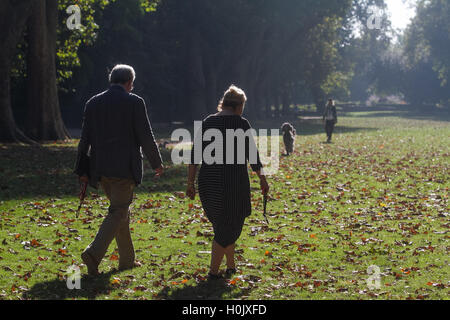 Putney Londres, Royaume-Uni. 21 septembre 2016. Les gens à pied à travers le parc de l'Évêque Putney ce qui est couvert dans les feuilles d'automne par un beau matin ensoleillé Crédit : amer ghazzal/Alamy Live News Banque D'Images