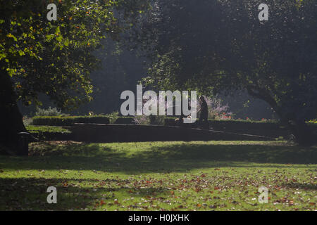 Putney Londres, Royaume-Uni. 21 septembre 2016. Les gens à pied à travers le parc de l'Évêque Putney ce qui est couvert dans les feuilles d'automne par un beau matin ensoleillé Crédit : amer ghazzal/Alamy Live News Banque D'Images