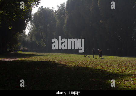 Putney Londres, Royaume-Uni. 21 septembre 2016. Les gens à pied à travers le parc de l'Évêque Putney ce qui est couvert dans les feuilles d'automne par un beau matin ensoleillé Crédit : amer ghazzal/Alamy Live News Banque D'Images