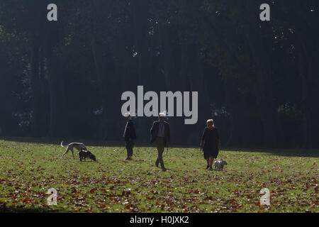 Putney Londres, Royaume-Uni. 21 septembre 2016. Les gens à pied à travers le parc de l'Évêque Putney ce qui est couvert dans les feuilles d'automne par un beau matin ensoleillé Crédit : amer ghazzal/Alamy Live News Banque D'Images