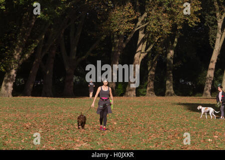 Putney Londres, Royaume-Uni. 21 septembre 2016. Les gens à pied à travers le parc de l'Évêque Putney ce qui est couvert dans les feuilles d'automne par un beau matin ensoleillé Crédit : amer ghazzal/Alamy Live News Banque D'Images