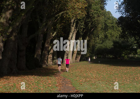 Putney Londres, Royaume-Uni. 21 septembre 2016. Les gens à pied à travers le parc de l'Évêque Putney ce qui est couvert dans les feuilles d'automne par un beau matin ensoleillé Crédit : amer ghazzal/Alamy Live News Banque D'Images