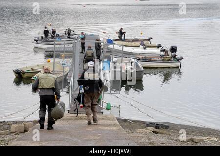 Réservoir d'Llandegfedd près de Newport South Wales, UK. 21 Septembre, 2016. International de pêche Pays de Galles UK Mercredi 21 Septembre 2016 Pays de Galles sont les hôtes de cet ans fly fishing la concurrence internationale entre les pays de Galles, l'Ecosse, l'Irlande et l'Angleterre au réservoir d'Llandegfedd près de Newport South Wales. Crédit : Steven Phillips/Alamy Live News Banque D'Images