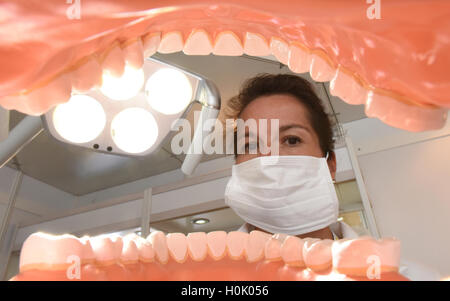 Freiburg, Allemagne. Sep 21, 2016. Un adjoint dentaire ressemble à un modèle de fausses dents au cours d'une présentation à l'occasion de la journée de la santé de la dent à Freiburg, Allemagne, 21 septembre 2016. Les enfants et les jeunes en Bade-wurtemberg ont, selon le centre d'information pour la santé des dents Baden-Wurttemberg, souffrent moins souvent de caries dans Allemagne-large comparaison. PHOTO : PATRICK SEEGER/dpa/Alamy Live News Banque D'Images