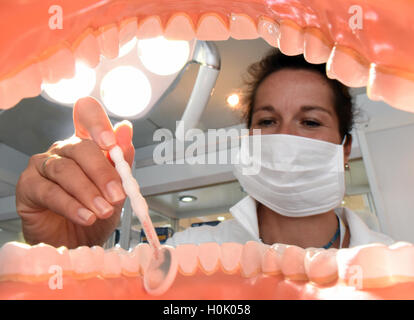 Freiburg, Allemagne. Sep 21, 2016. Un adjoint dentaire ressemble à un modèle de fausses dents au cours d'une présentation à l'occasion de la journée de la santé de la dent à Freiburg, Allemagne, 21 septembre 2016. Les enfants et les jeunes en Bade-wurtemberg ont, selon le centre d'information pour la santé des dents Baden-Wurttemberg, souffrent moins souvent de caries dans Allemagne-large comparaison. PHOTO : PATRICK SEEGER/dpa/Alamy Live News Banque D'Images