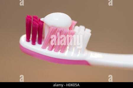 Freiburg, Allemagne. Sep 21, 2016. Dentifrice sur une brosse à dents à l'occasion de la journée de la santé de la dent à Freiburg, Allemagne, 21 septembre 2016. Les enfants et les jeunes en Bade-wurtemberg ont, selon le centre d'information pour la santé des dents Baden-Wurttemberg, souffrent moins souvent de caries dans Allemagne-large comparaison. PHOTO : PATRICK SEEGER/dpa/Alamy Live News Banque D'Images