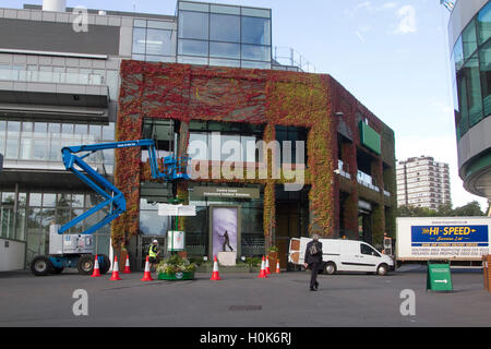 Wimbledon London,UK. 22 septembre 2016. Un travailleur sur une grue réalise des travaux de maintenance en face de Wimbledon Centre Court couvert de lierre japonais qui a changé de belles couleurs d'automne : Crédit amer ghazzal/Alamy Live News Banque D'Images