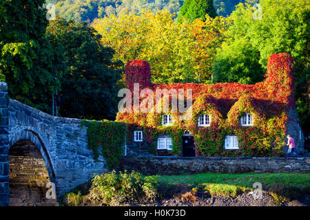 Llanrwst, Conwy, Pays de Galles, Royaume-Uni Le lever du soleil baigne Tu Hwnt J'r Bont Salon de thé le jour de l'Équinoxe d'automne. l'heure ou la date (deux fois par an) à laquelle le soleil traverse l'équateur céleste, lorsque le jour et la nuit sont de longueur égale. Banque D'Images