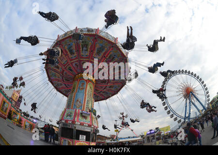 Munich, Allemagne. Sep 21, 2016. Un carrousel de rotation et la roue géante (r) à l'Oktoberfest de Munich, Allemagne, le 21 septembre 2016. Le 183th Wiesn lieu du 17 septembre 2016 jusqu'au 3 octobre 2016. PHOTO : FELIX HOERHAGER/dpa/Alamy Live News Banque D'Images