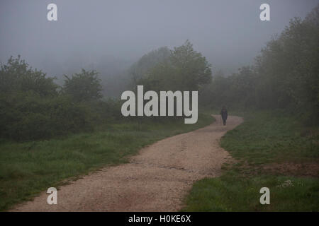 Le dirigeant d'une personne marche le Chemin de Compostelle, sur un matin brumeux, route Frances Banque D'Images