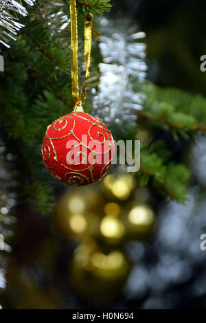 Boule de Noël rouge accroché à un arbre de Noël. Banque D'Images