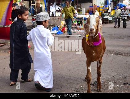 Les garçons musulmans après la chèvre sacrificielle plomb offrant la prière alors qu'il célèbre l'Aïd al-Adha mosquée Bilal sacrifice festival Mumbai Banque D'Images