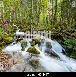 Jeune homme près d'une crique, Röthbach, avec la mousse, à la fin de la rivière Cascade, Röthbach Salet am Königssee Banque D'Images