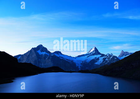 Tôt le matin, au lac de Bachalp Wetterhorn, Schreckhorn, Finsteraarhorn et Premier, Grindelwald, Canton de Berne, Suisse Banque D'Images