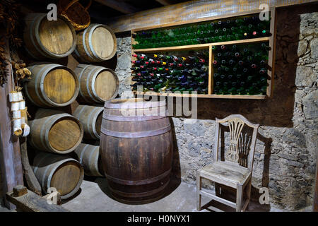 Ancienne cave à vin, la Casa de los Balcones, musée, La Orotava, Tenerife, Canaries, Espagne Banque D'Images