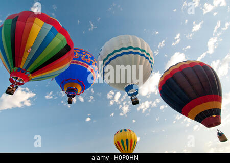 Hot air balloons Ann Morrison Park dans 'l'esprit de Boise Balloon Classic' en Septembre 2016 Banque D'Images
