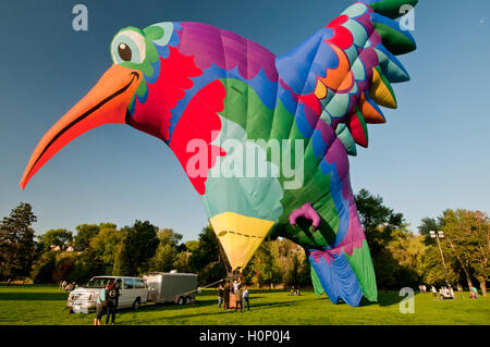 En forme de Colibri hot air balloon lancement à 'l'esprit de Boise Balloon Classic 2016" à Boise IDAHO, Septembre 2016 Banque D'Images