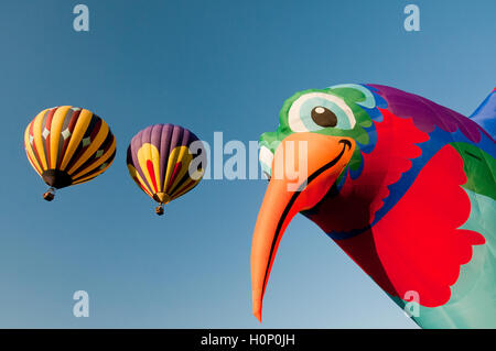 En forme de Colibri hot air balloon et deux autres ballons à 'l'esprit de Boise Balloon Classic 2016' dans Boise ID 2016 Banque D'Images