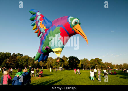 En forme de Colibri hot air balloon lancement à 'l'esprit de Boise Balloon Classic 2016" à Boise, Idaho, États-Unis Banque D'Images