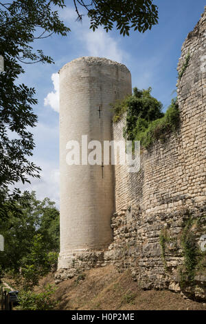 Ruines du château du Coudray-Salbart, près de Niort, centre de la France Banque D'Images