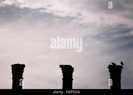 Silhouette trois colonnes et deux corbeaux sur une colonne dans l'ancienne ville d'Izmir Turquie Basmane agora. Banque D'Images