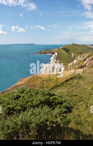 Voir des fleurs Barrow, près de Tyneham dans le Dorset, à l'ouest le long de la côte vers les roches Mupe Banque D'Images