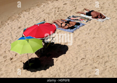 Vue aérienne d'une famille à la plage pour bronzer