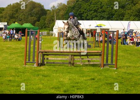 Girl riding a horse show jumping une clôture. Bellingham Show and Country Festival, Bellingham, Northumberland, England, UK. Banque D'Images