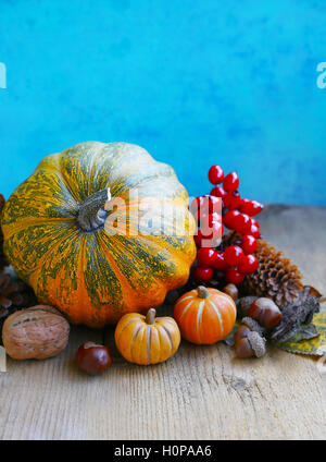 Décoration automne citrouilles, cônes et les écrous sur vintage background Banque D'Images