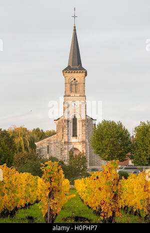 Vignoble et église du village, Aloxe-Corton, Bourgogne, France Banque D'Images