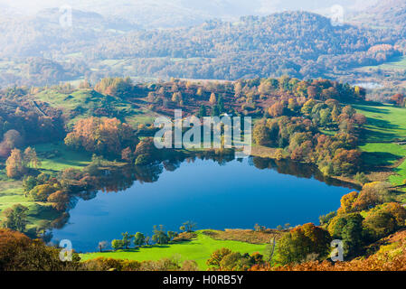 Loughrigg Tarn vu de Loughrigg est tombé dans le Parc National de Lake District. La région de Cumbria. L'Angleterre. Banque D'Images