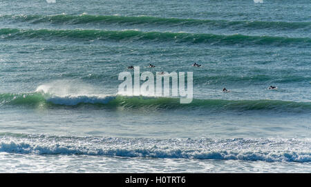 Surfers paddle out pour les vagues à Polzeath en Cornouailles du Nord Banque D'Images