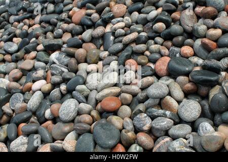 Plage de galets - Galets humides Banque D'Images