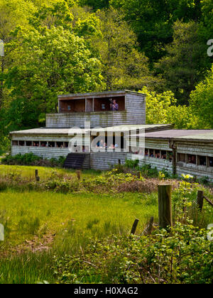 Visiteurs en cache en bois à Chester Centre près de Rhayader Powys Pays de Galles UK Banque D'Images