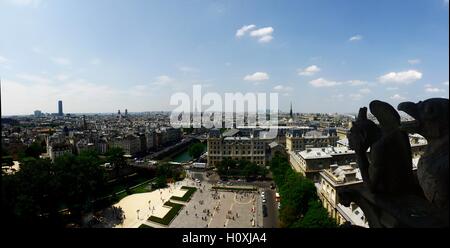 Paris vu de la Tour Notre Dame Banque D'Images