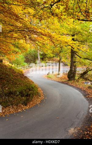 Gill coup sur la route de Hawnby à Osmotherly à l'apogée de l'automne. Banque D'Images