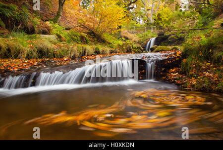 Gill coup sur la route de Hawnby à Osmotherly à l'apogée de l'automne. Banque D'Images