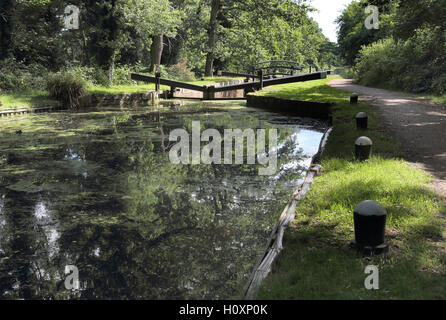 Baisingstoke écluses sur le canal près de woodham surrey Banque D'Images