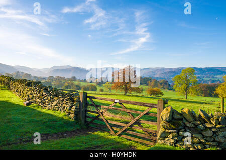 Terres agricoles dans la vallée près de Ullswater Howtown dans le Parc National de Lake District. La région de Cumbria. L'Angleterre. Banque D'Images